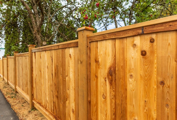 Homeowner's Handbook for Professional Wood Fencing Services in Texas City, TX
